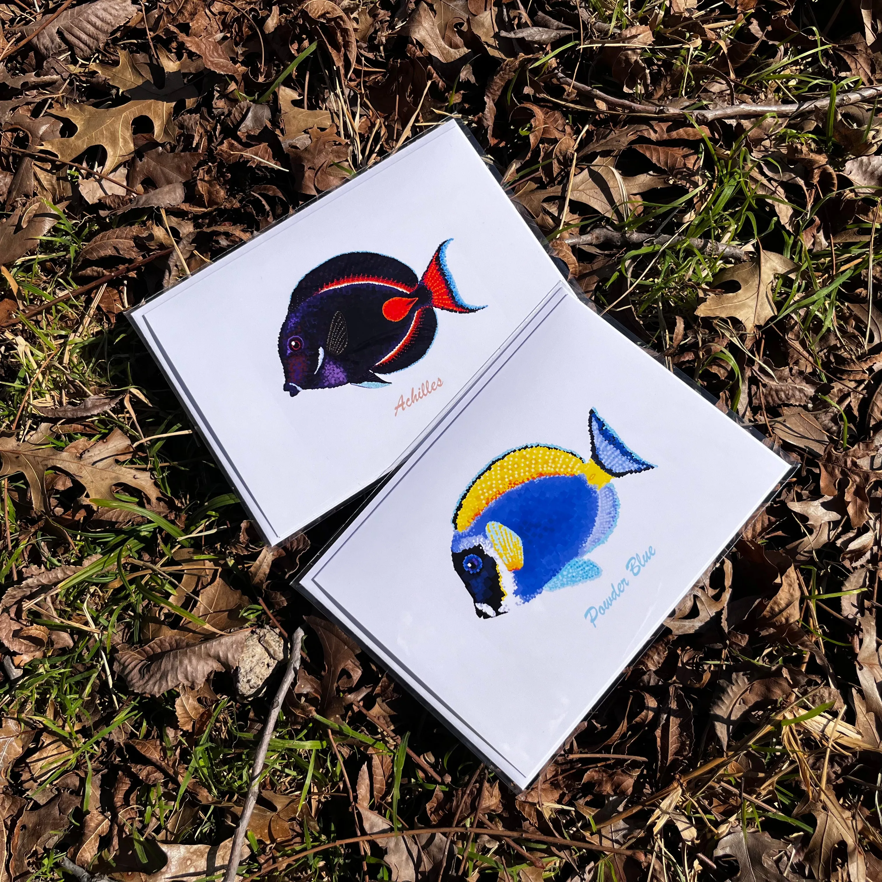 Tang Gang Greeting Cards / 7 pack