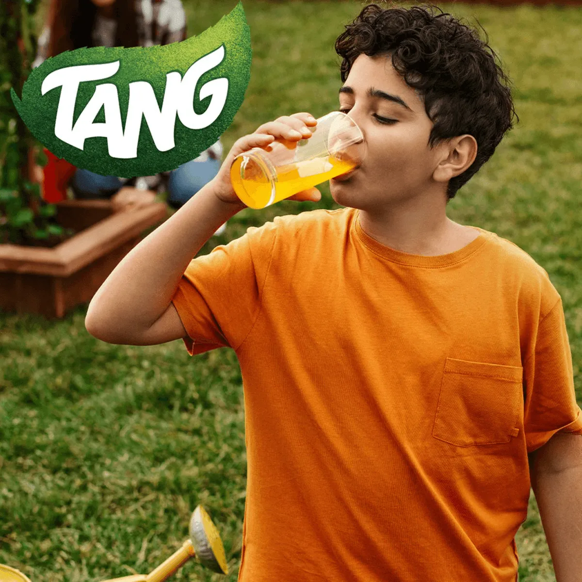 Tang Orange Instant Powdered Drink -  2Kg