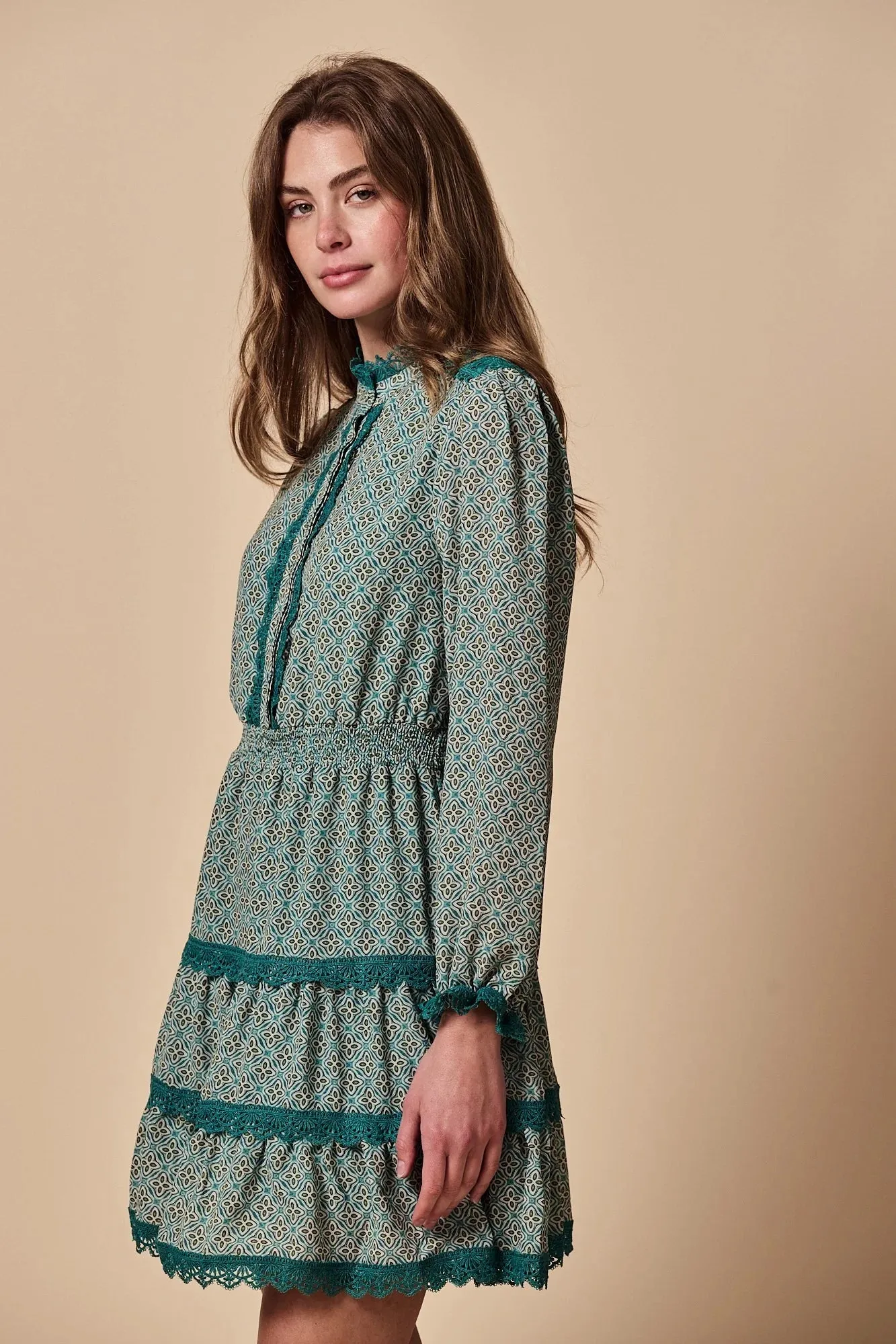 The Shirt The Angela Dress Chic and Elegant