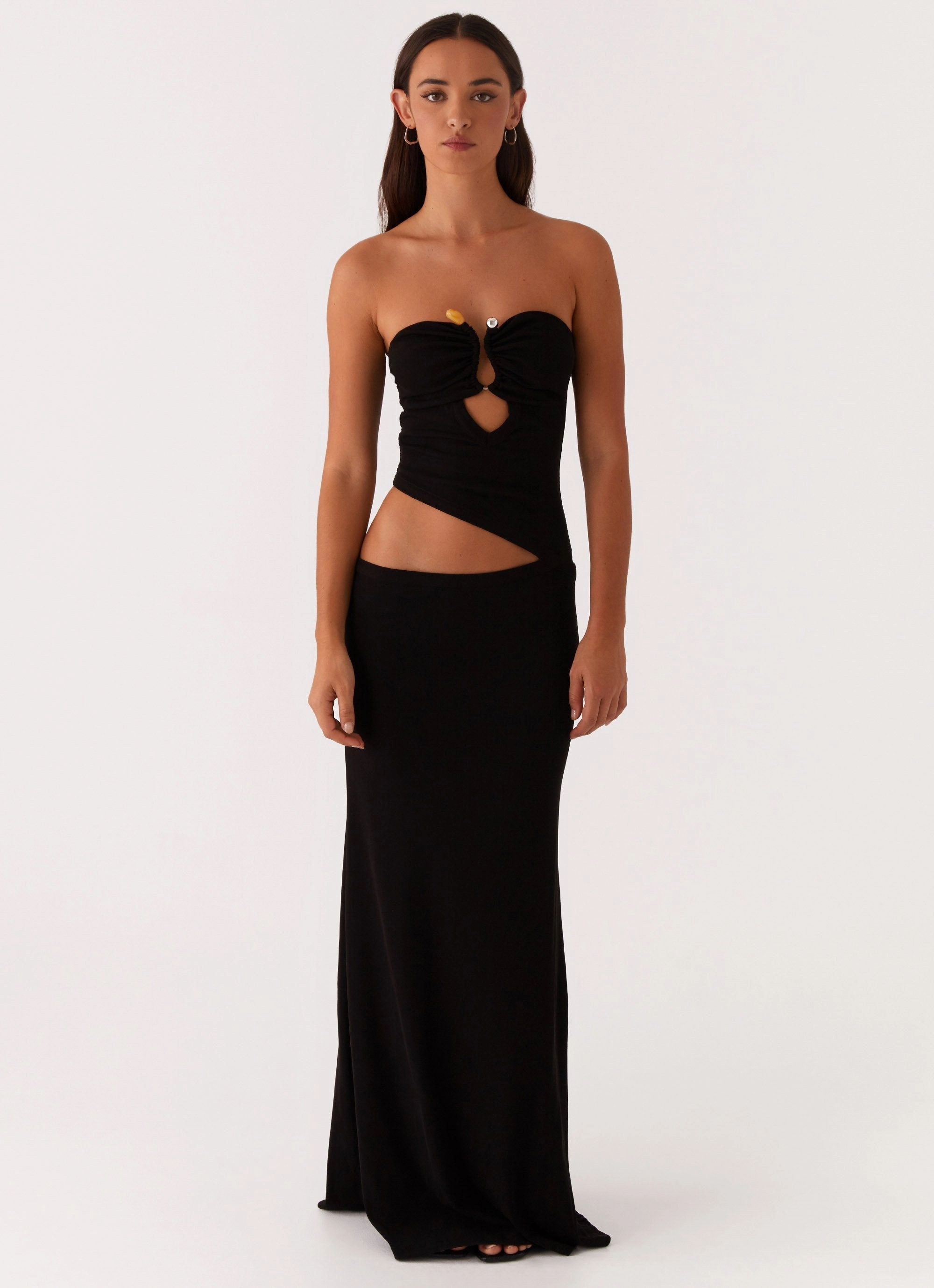 Statement Neck Feminine full-length gown Wild Roses Maxi Dress - Black